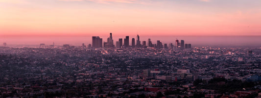 What Are The Top 10 Most Vegetarian Friendly Cities In The World?