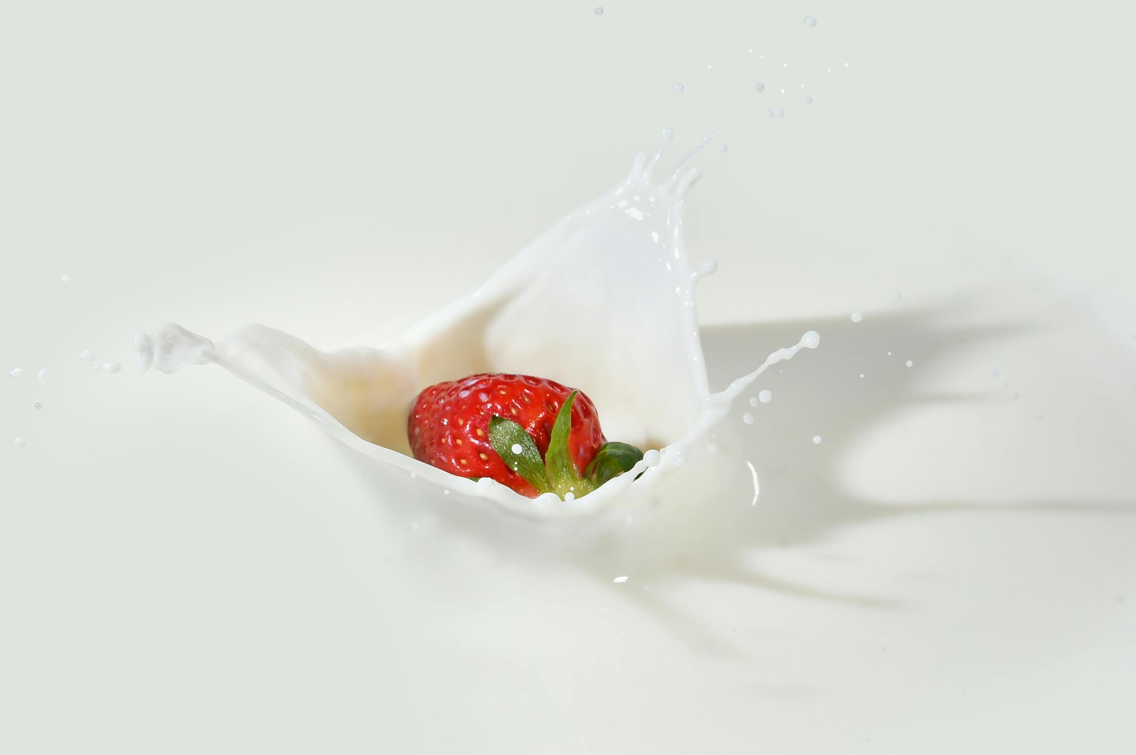 Managing Lactose Intolerance With Havarti: Expert Tips & Tricks - x9jnuy8