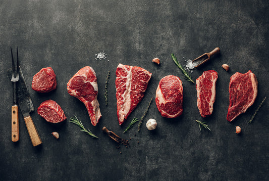 The Carnivore Diet: A Recipe for Chronic Health Problems